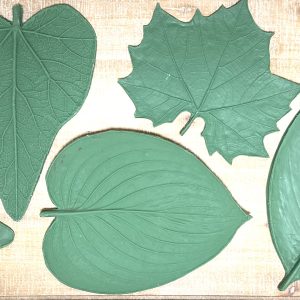 Large Leaf Assortment Set #2 (Set of 5)