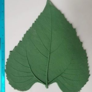 LP143 Large Pointed Sunflower Rubber Leaf Forms