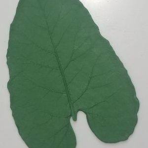 Med. Burdock Rubber Form