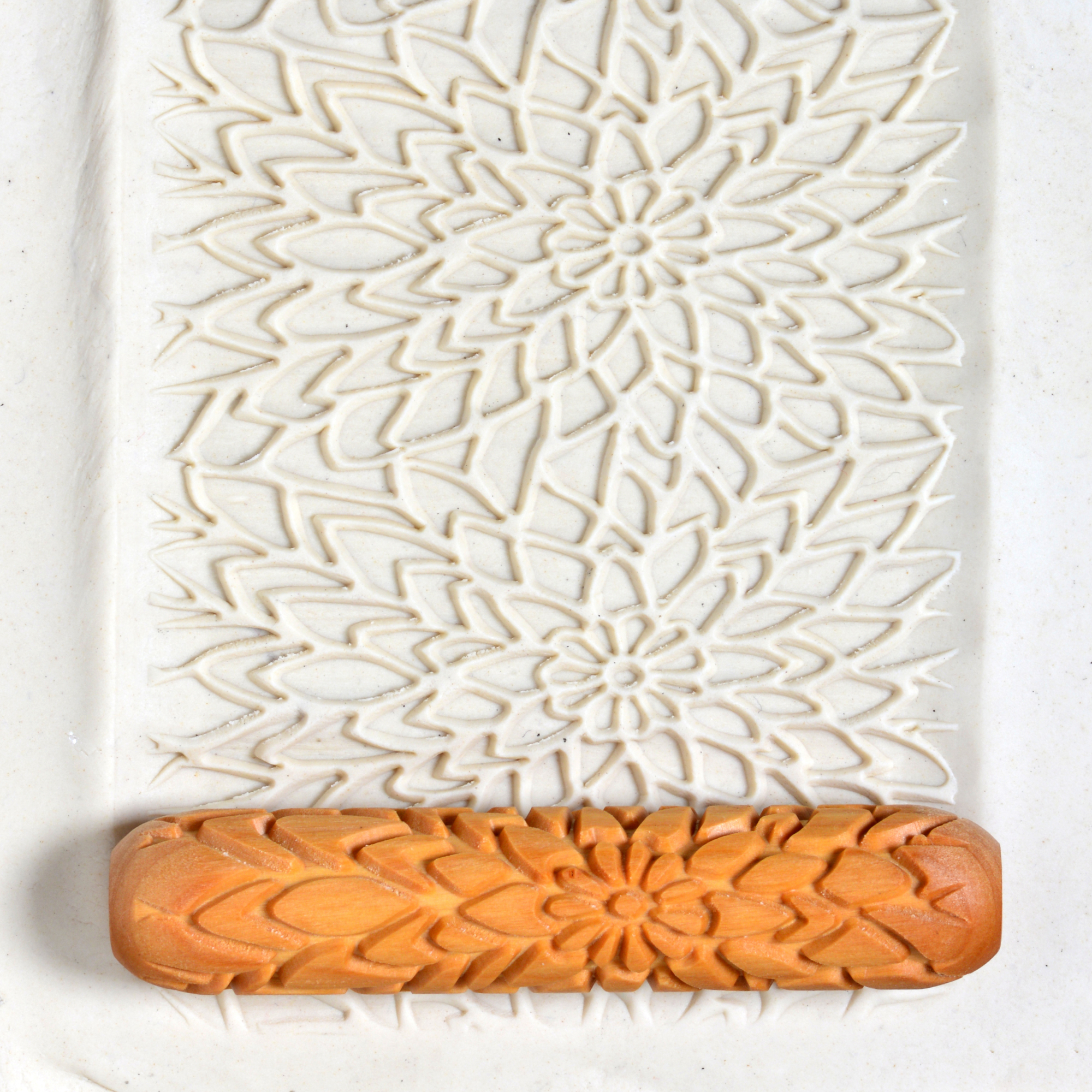 Chrysanthemum