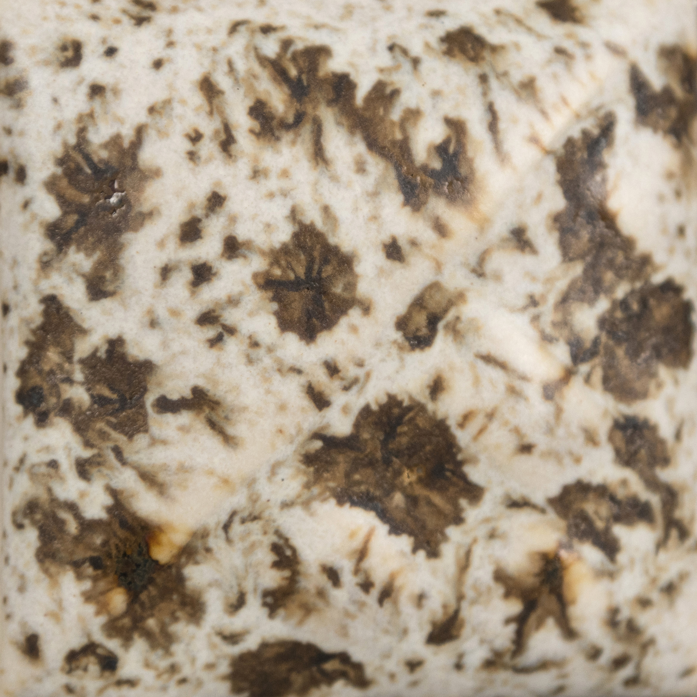 Winter Wood Dry - 10 lbs Dry Mayco Stoneware Glaze