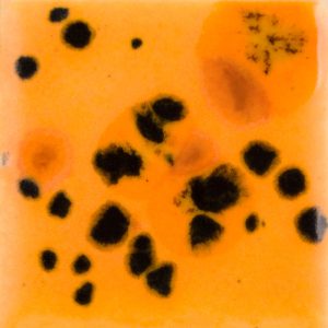 Papaya- 16-oz Mayco Jungle Gem Crystal Glaze