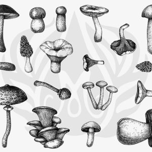 Mushrooms Designer Silk Screen