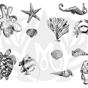 Sea Life - Designer Silk Screen