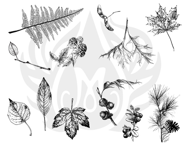 Mayco Designer Silk Screen Botanical - Leaves DSS0111