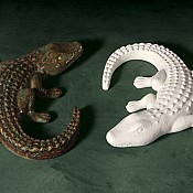Ornamental (By the Case)